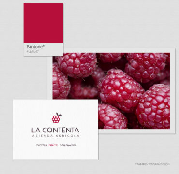 La Contenta - logo