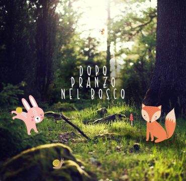 Kit "nel bosco"