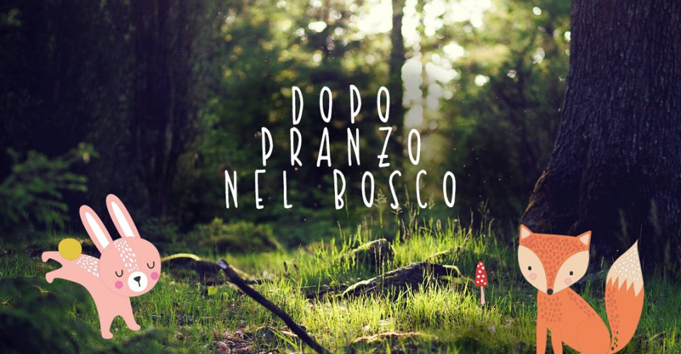 Kit "nel bosco"