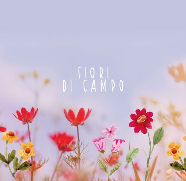 kit fiori di campo