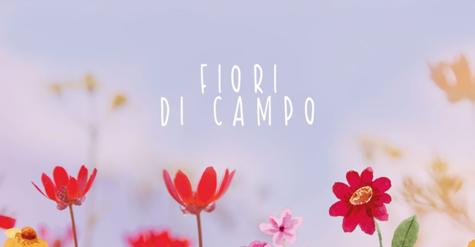 kit fiori di campo